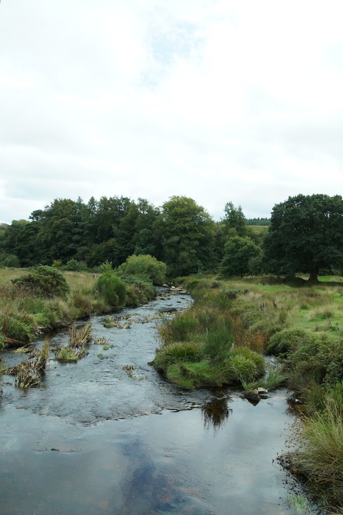 Dartmoor NP